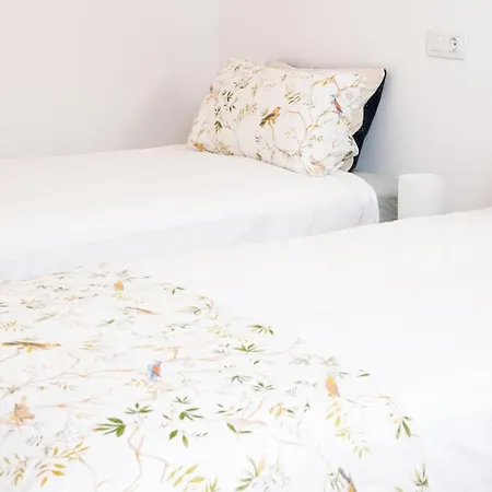 Апартаменты Casa Drago - Cozy 1br With Scenic Views Санта-Брихида